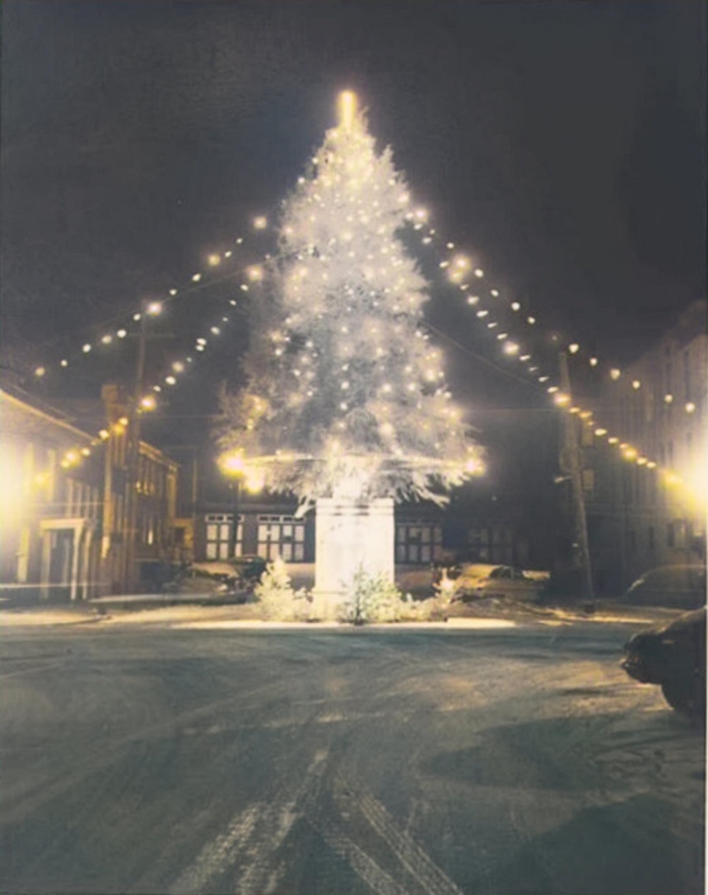 Christmas Tree 1955